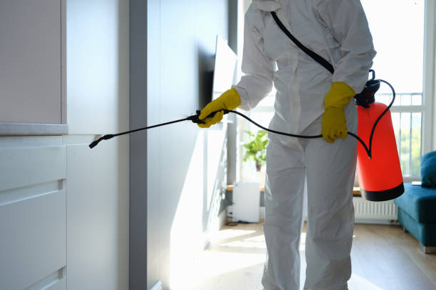 Crawl Space Mold Removal in Morgantown, MS