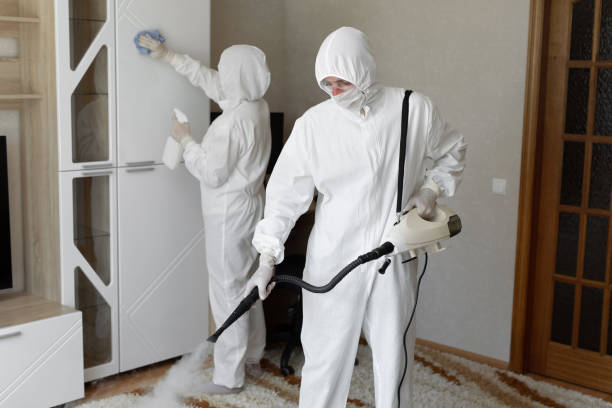 Best Mold Cleaning Services  in Morgantown, MS