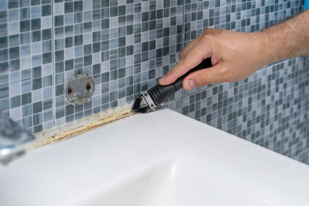Best Mold Testing  in Morgantown, MS