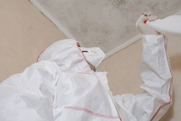 Best Mold Testing  in Morgantown, MS